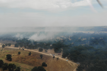 Edirne'de Orman Yangınına Havadan ve Karadan Müdahale Sürüyor