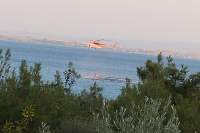 Piknik Ateşinden Çıkan Orman Yangını Söndürüldü