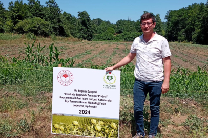 Enginar Ekimi Yapılan Araziler Kontrol Edildi