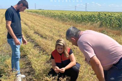 "Nohuta Vize Çıktı Projesi” İncelendi