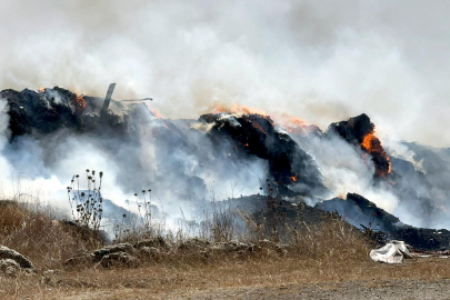 Tekirdağ’da İki Ayrı Piknik Alanında Yangın Çıktı