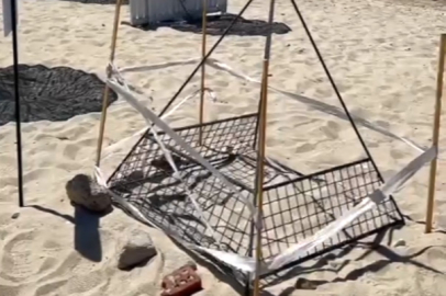 Saros'ta Caretta Caretta Yuvası, Korumaya Alındı