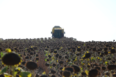Tekirdağ'da "Hasat Bayramı" etkinliği düzenledi