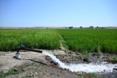 Edirne'de Devlet Desteğiyle Açılan Kuyular Çeltik Üreticisini Rahatlattı