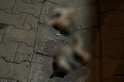 Uzunköprü'deki Vahşetle İlgili Jet İnceleme