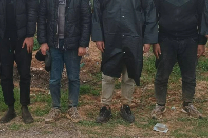 Edirne'de 20 Düzensiz Göçmen Yakalandı