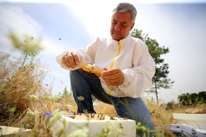 Kırklareli'nde Arı Islah Çalışmalarıyla Bal Veriminin Arttırılması Hedefleniyor