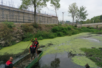 Akış Yönü Değiştirilen Tunca Nehri'nde Balığa Rastlanmadı