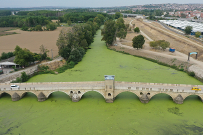 Tunca Nehri'ni "Yeşile Boyayan" Yosun ve Su Mercimeklerinin Yayılımı Arttı