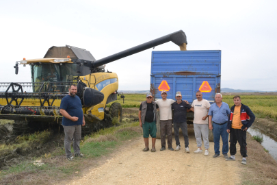 Keşan’da Çeltik Hasadı Başladı
