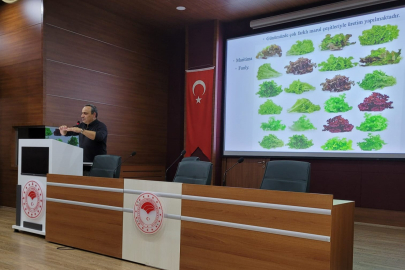 "Örtü Altı Üretim Teknikleri" Eğitimi Düzenlendi