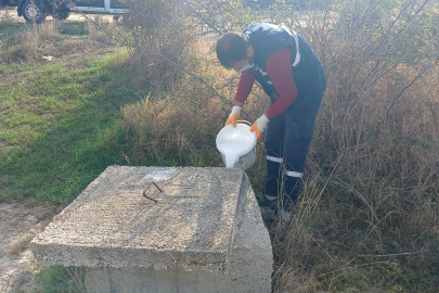 Erikli ve Yayla’da İlaçlama Çalışması