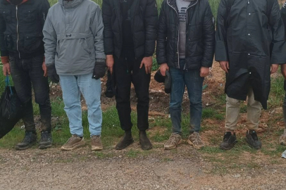 Edirne'de 20 Düzensiz Göçmen Yakalandı