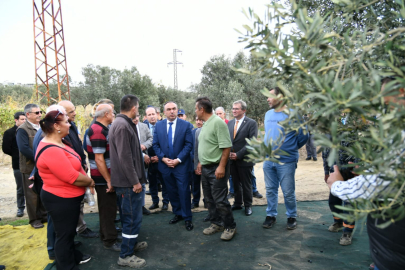 Tekirdağ Valisi Soytürk, Şarköy İlçesinde Zeytin Hasadına Katıldı