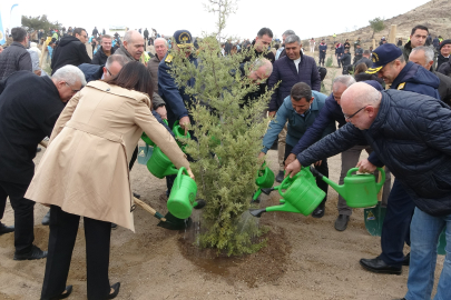 Çanakkale'de Milli Ağaçlandırma Günü Çerçevesinde 34 Bin 500 Bin Fidan Toprakla Buluştu
