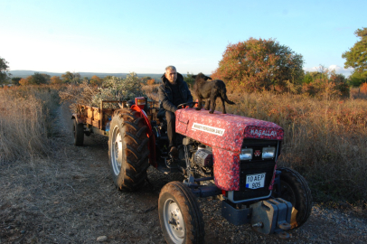 Çanakkaleli Çiftçinin Köpeği "Kara" Traktörün Kaportasından İnmiyor