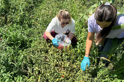 Edirne İl Tarım Müdürlüğü’nden Hasat Öncesi Pestisit Denetimi