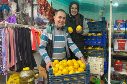 Edirne’de Eşme Ayvasına Yoğun Talep