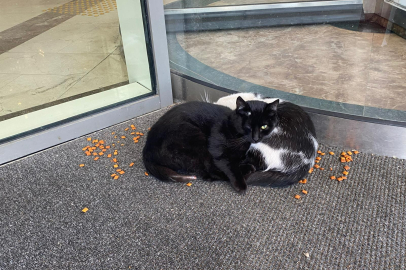 Edirne’de Soğuk Havada Yürekleri Isıtan Görüntü