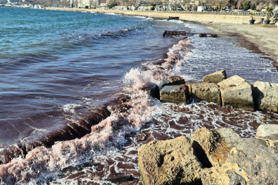 Marmara Denizi'nde Kızıl Yosun Akıntısı Sürüyor
