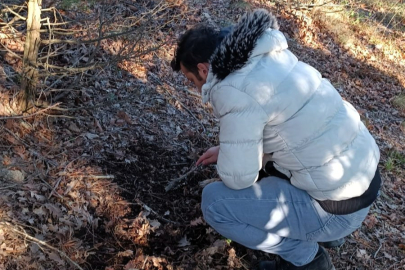 Kırklareli'nde Hububat Zararlılarıyla Mücadele Çalışmaları Sürüyor