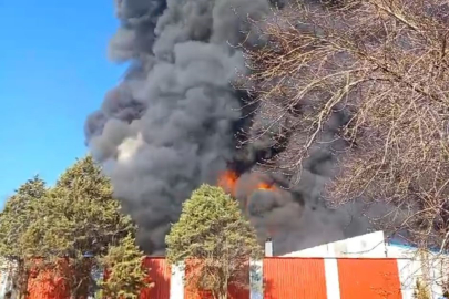 Kırklareli’nde Fabrikada Yangın: Dumanlar Gökyüzünü Kapladı
