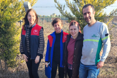 Kırklareli Tarım İl Müdürlüğü'nden Serapies Salep Ekimi