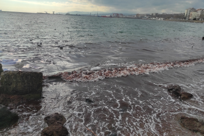 Poyraz Fırtınası Marmara Denizi'ni Kıyılarını Kızıl Renge Boyadı