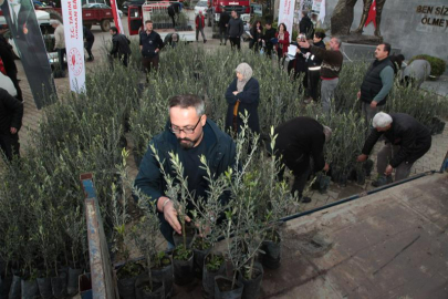 Çanakkale'de Yangından Etkilenen Bölge Sakinlerine Zeytin Fidanı Dağıtıldı