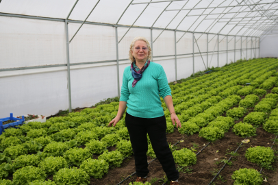 Edirne'de Seralara Sağlanan Devlet Desteği Üreticinin Yüzünü Güldürdü