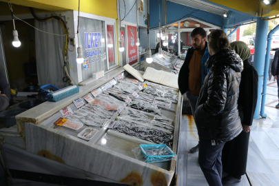 Tekirdağlı Balıkçıların Ağına En Çok İstavrit Takılıyor