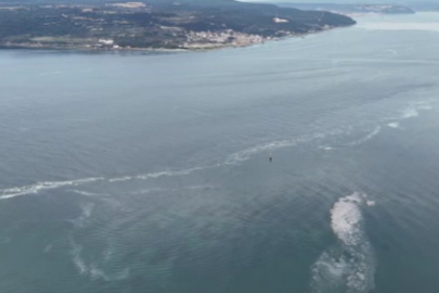 Çanakkale Boğazı'nın Kabusu Müsilaj 5 Yıl Sonra Geri Döndü
