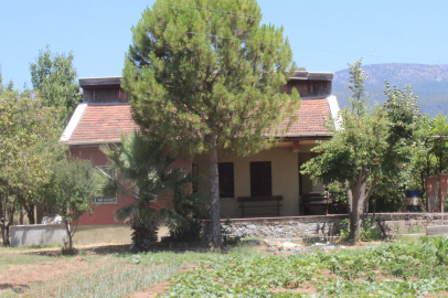 Kan Donduran Cinayette Başa Dönüldü