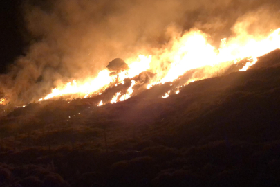 Gökçeada'da Otluk Alanda Çıkan Yangın Korkuttu