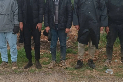 Edirne'de 31 Düzensiz Göçmen Yakalandı