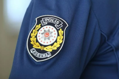 Kırklareli'nde Ölü Bulunan Köpeklere İlişkin Soruşturma Başlatıldı