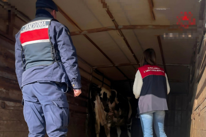 Pehlivanköy'de Hayvan Taşıyan Araçlar Denetlendi