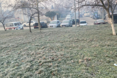 Edirne Valiliğinden Buzlanma ve Don Uyarısı