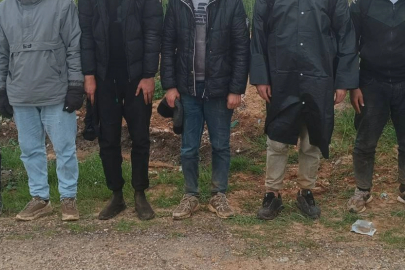 Kırklareli'nde 8 Düzensiz Göçmen Yakalandı