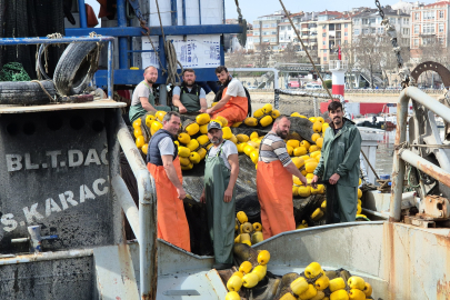 Marmara'da Müsilaj Erken Paydos Ettirdi
