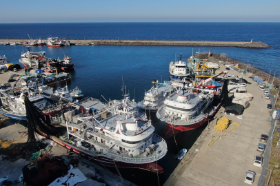 Türkiye'de 1 Eylül'de Başlayan Balık Avı Sezonu 15 Nisan'da Sona Erecek