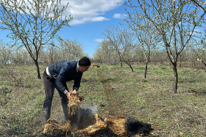Edirne'de Üreticiler, Badem Ağaçlarını 'Dumanlama' Yöntemi İle Koruyor