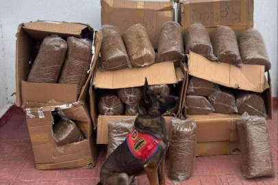 Çorlu'da 88 Bin 400 Makaron Ele Geçirildi