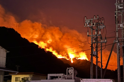 Japonya’da Orman Yangını Alarmı: 2 Eyalet Alevlere Teslim Oldu
