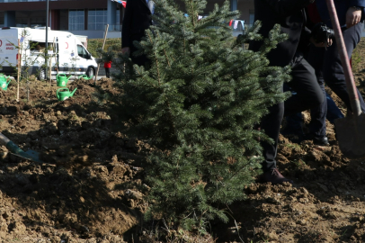 Tekirdağ'da Bu Yıl 300 Bin Fidan Toprakla Buluşacak