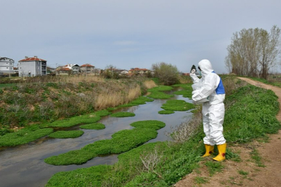 Babaeski’de İlaçlama Çalışması