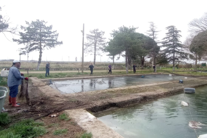 İpsala Su Ürünleri Üretim Tesisinde Üretim Sezonu Hazırlıkları Başladı