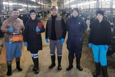 Küçükkarıştıran’da Hayvancılık İşletmesinde Rutin Kan Alım İşlemi Gerçekleştirildi