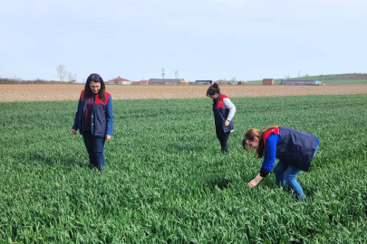 Lüleburgaz’da Kanola ve Hububat Ekimi Yapan Arazilerde Gözlem Yapıldı