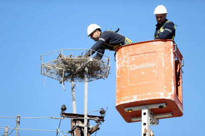 Bu Kez Yuvayı TREDAŞ Ekipleri Yaptı